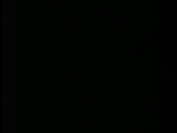 Fondu au noir dans le cinéma Fondu au noir dans le cinéma
