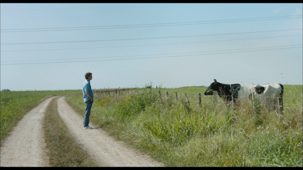 Petit paysan (2017) de Hubert Charuel : Pierre abat la vache folle (HD) Petit paysan (2017) de Hubert Charuel : Pierre abat la vache folle (HD)