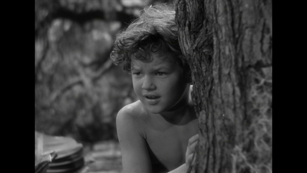 Tarzan finds a son (Tarzan trouve un fils, 1939) de Richard Thorpe : Boy en danger (HD) Tarzan finds a son (Tarzan trouve un fils, 1939) de Richard Thorpe : Boy en danger (HD)