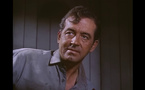 John Payne dans le western Silver Lode (Quatre étranges cavaliers, 1954) d'Allan Dwan